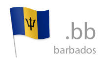 Inregistrare si reinnoire domenii .bb