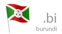 Inregistrare si reinnoire domenii .bi