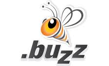Inregistrare si reinnoire domenii .buzz