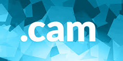 Inregistrare si reinnoire domenii .cam