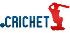 Inregistrare si reinnoire domenii .cricket