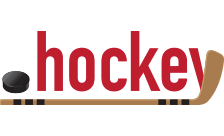 Inregistrare si reinnoire domenii .hockey